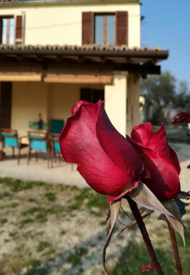 B&B Conca Del Pretore Loreto Aprutino Buitenkant foto