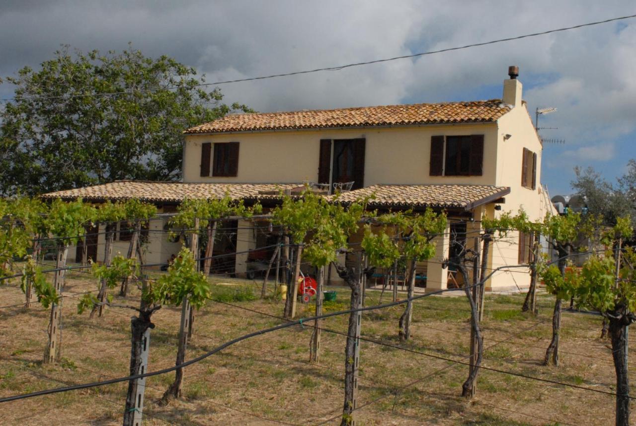 B&B Conca Del Pretore Loreto Aprutino Buitenkant foto