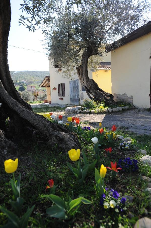 B&B Conca Del Pretore Loreto Aprutino Buitenkant foto