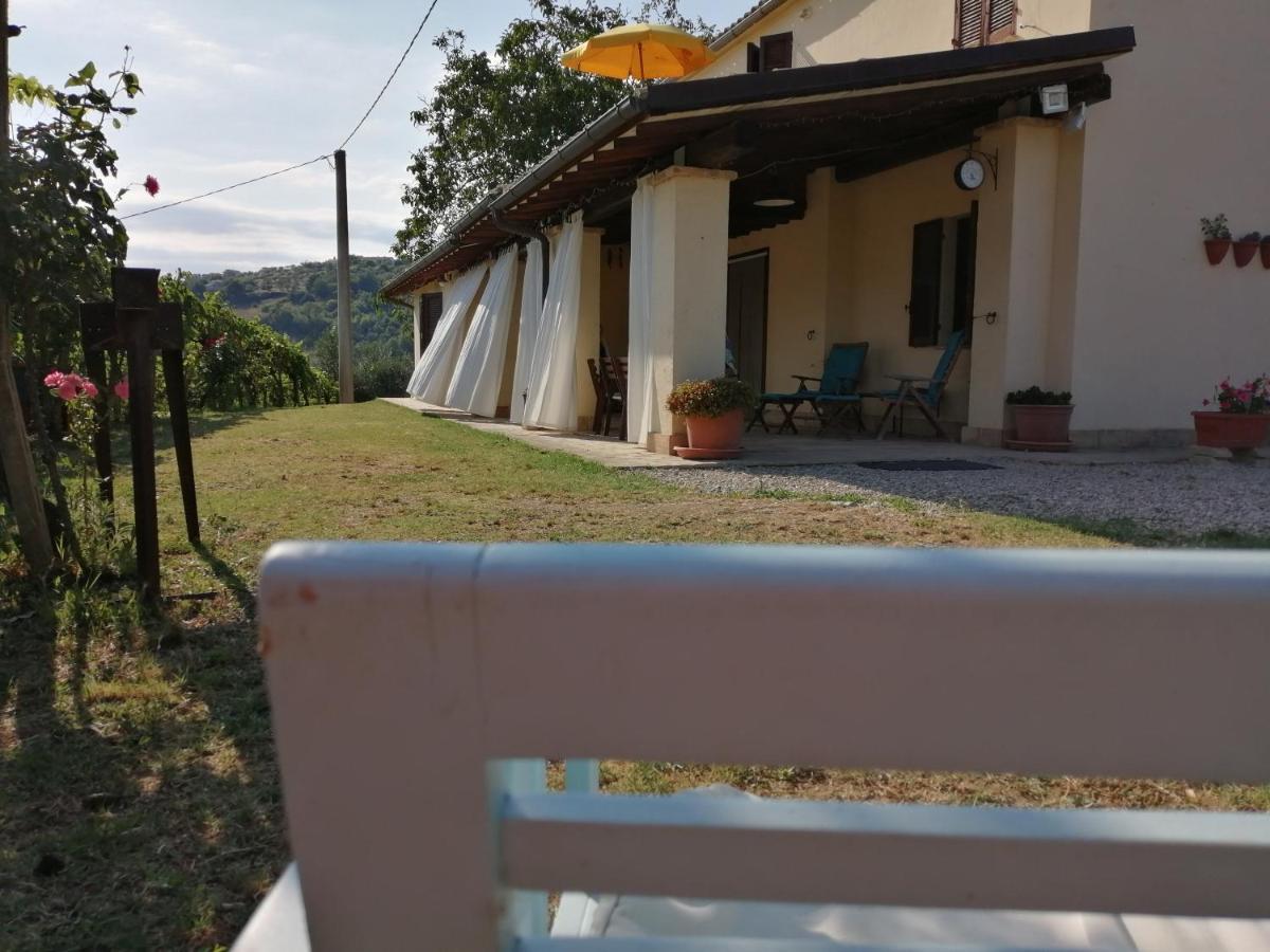 B&B Conca Del Pretore Loreto Aprutino Buitenkant foto