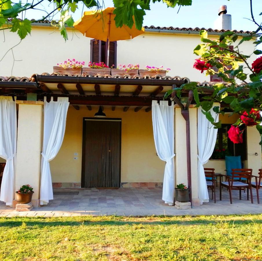 B&B Conca Del Pretore Loreto Aprutino Buitenkant foto