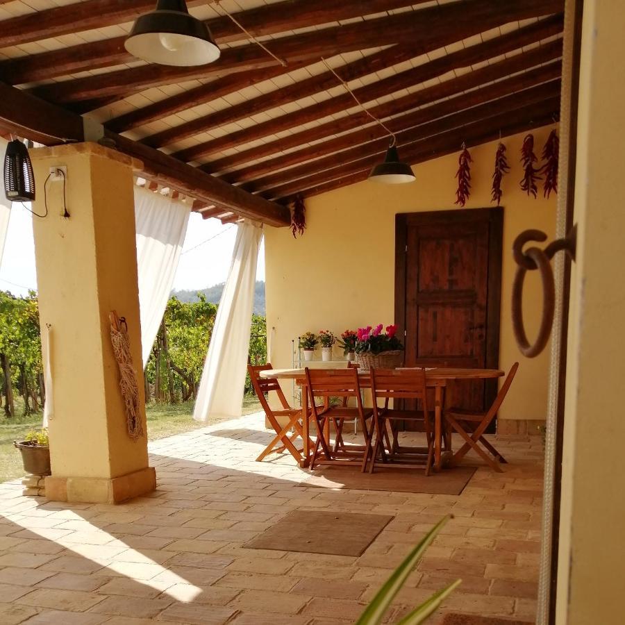 B&B Conca Del Pretore Loreto Aprutino Buitenkant foto